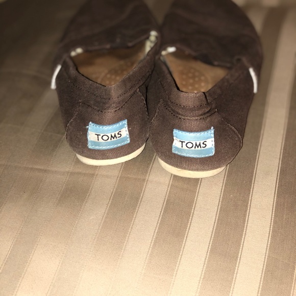 Toms Canvas Classic Brown Size 6 - Picture 2 of 3